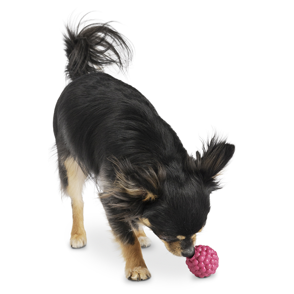 Hundespielzeug Orbee-Tuff Raspberry